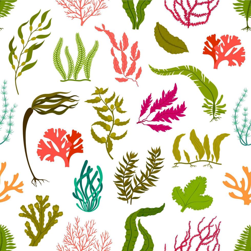Underwater seaweed plants seamless pattern vector