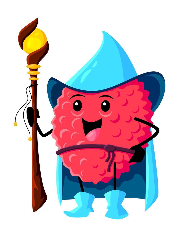 Cartoon lychee tropical fruit wizard, warlock vector