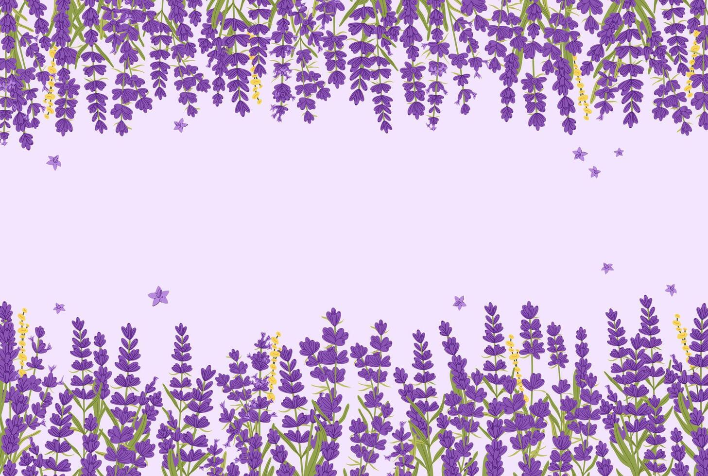 Lavender flowers background with floral borders vector