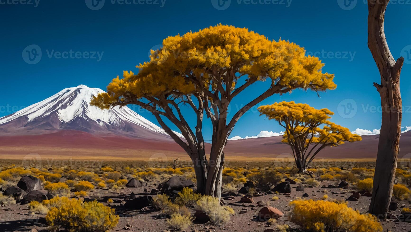 Sajama National Park Bolivia sunlight photo