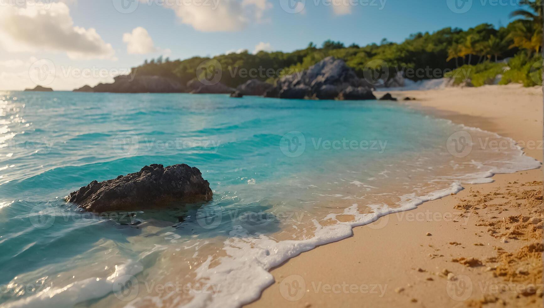 beautiful Bermuda nature photo