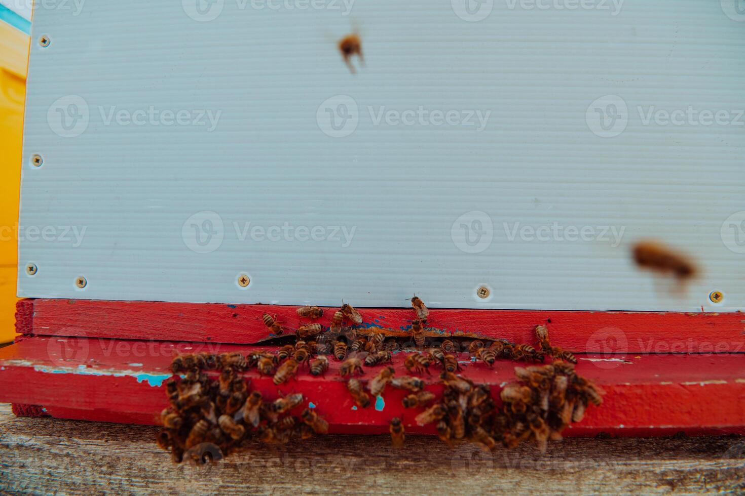 Close up photo of bees hovering around the hive carrying pollen