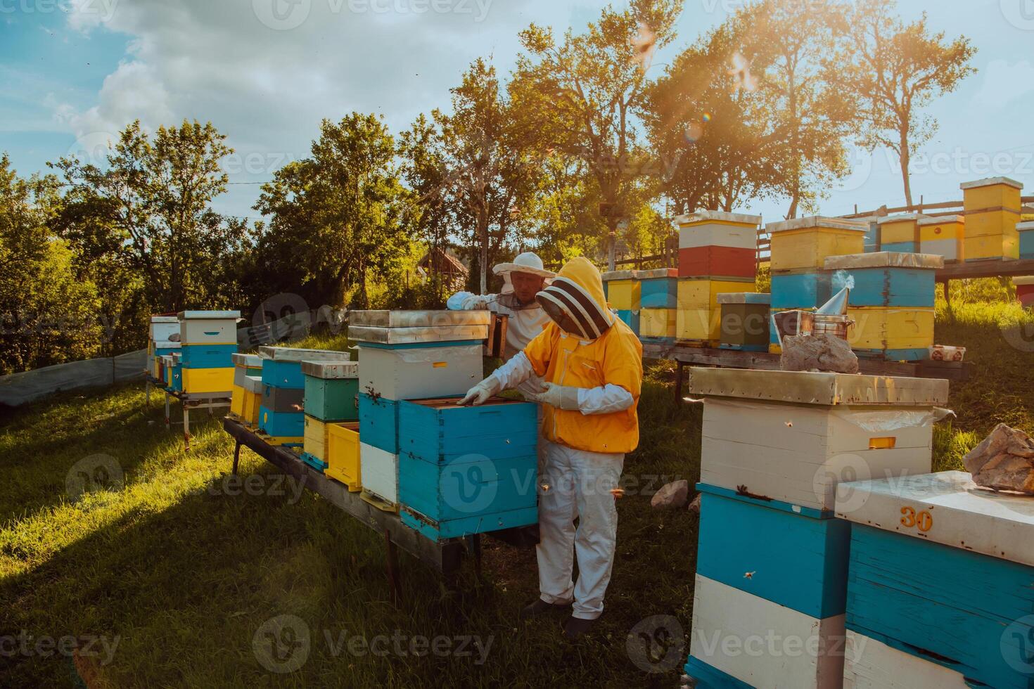 apicultores comprobación miel en el Colmena marco en el campo. pequeño negocio propietarios en colmenar. natural sano comida productores trabajando con abejas y colmenas en el colmenar. foto