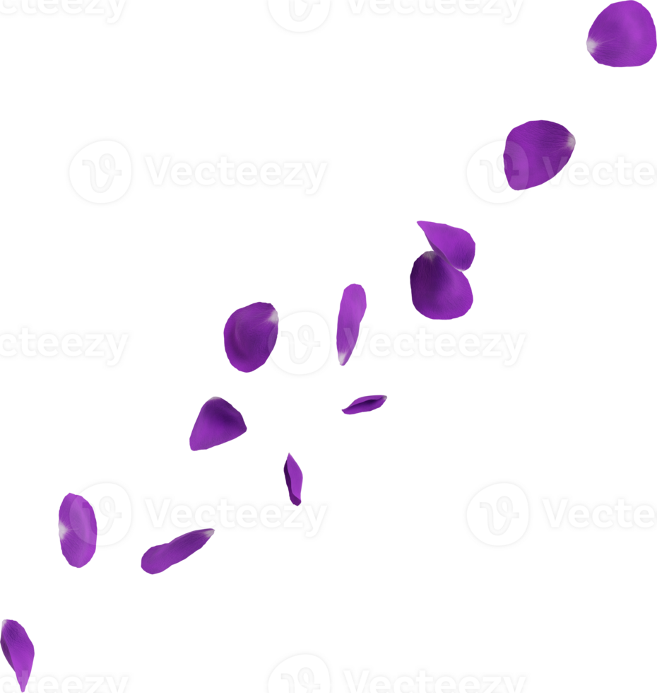 violet fleur pétales png