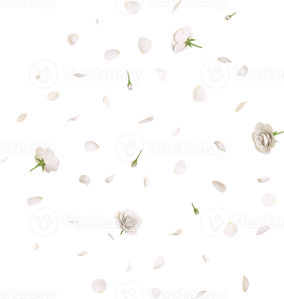 Falling white rose petals png