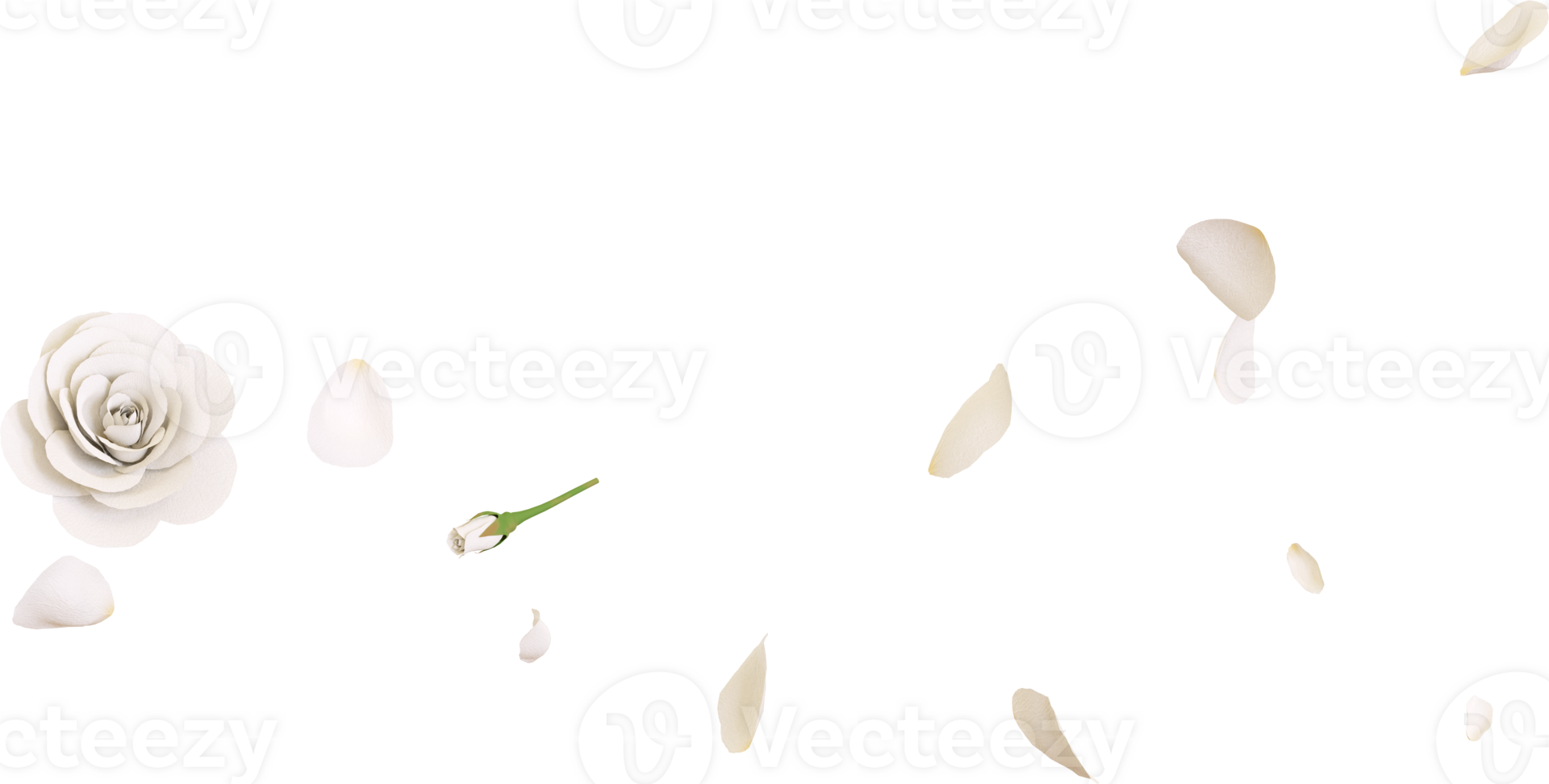 White rose petals png