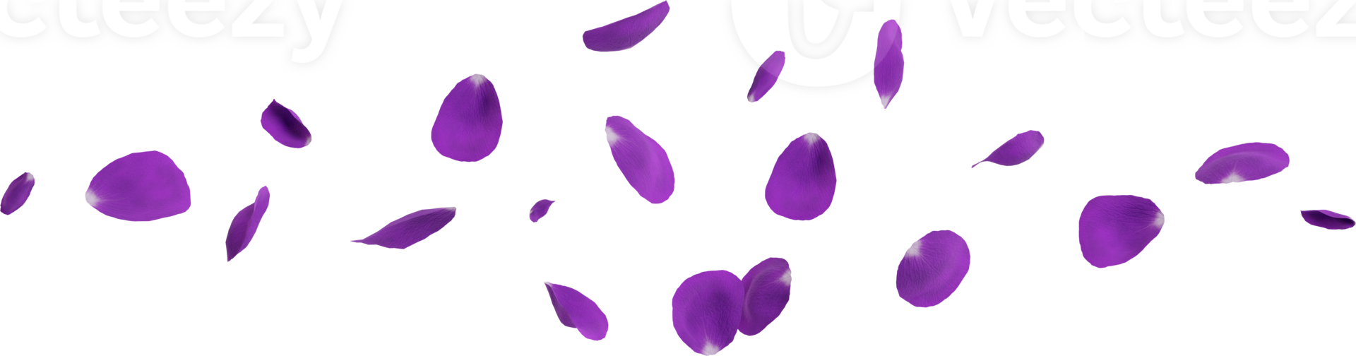 violet fleur pétales png