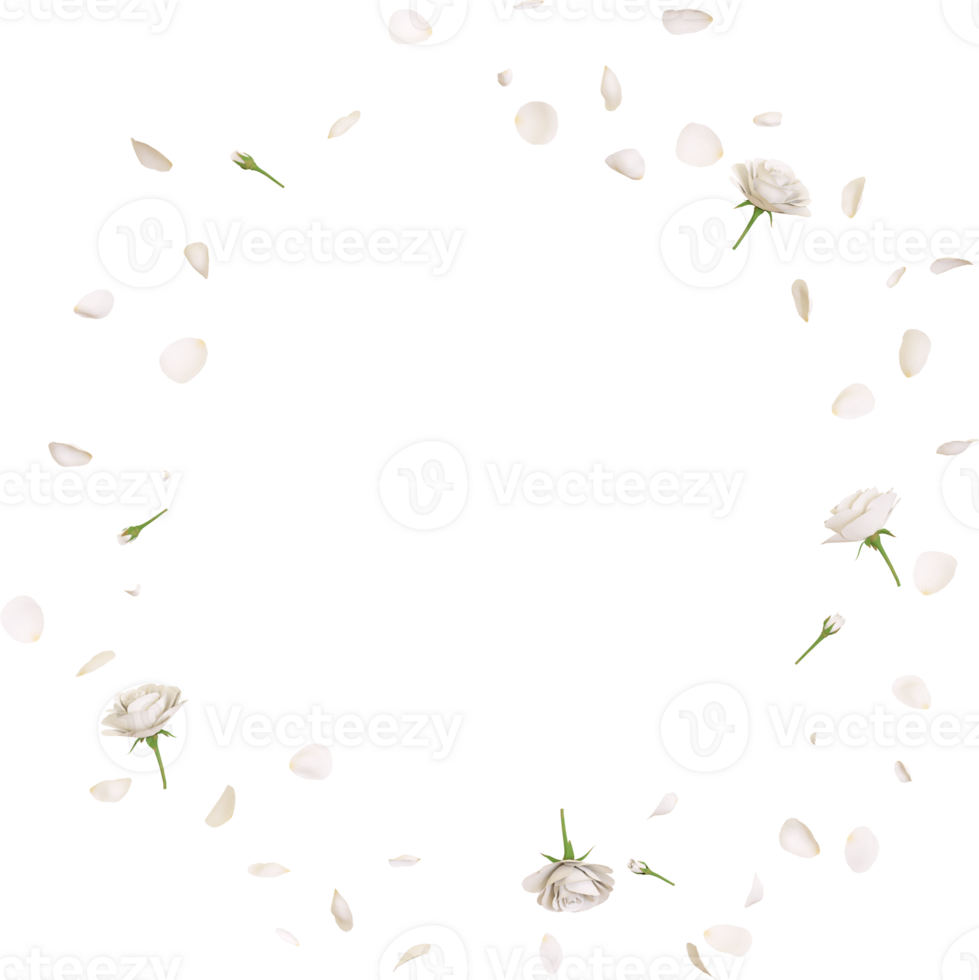 Falling white rose petals png