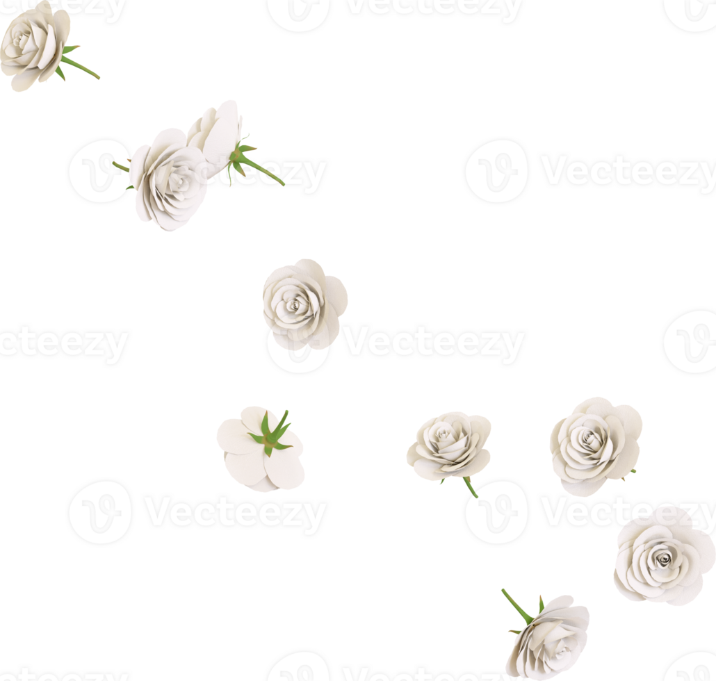 Falling white rose flower png