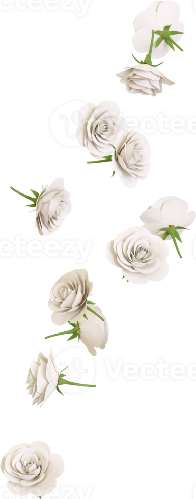Falling white rose flower png