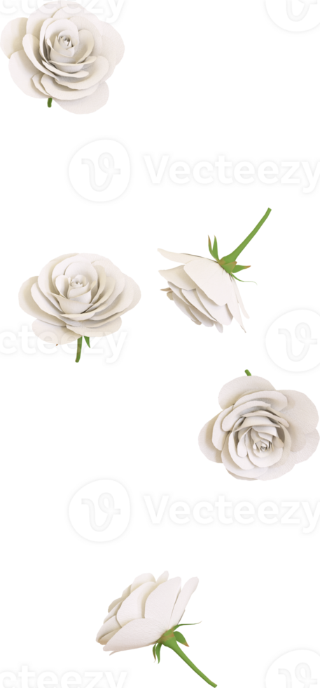 Falling white rose flower png