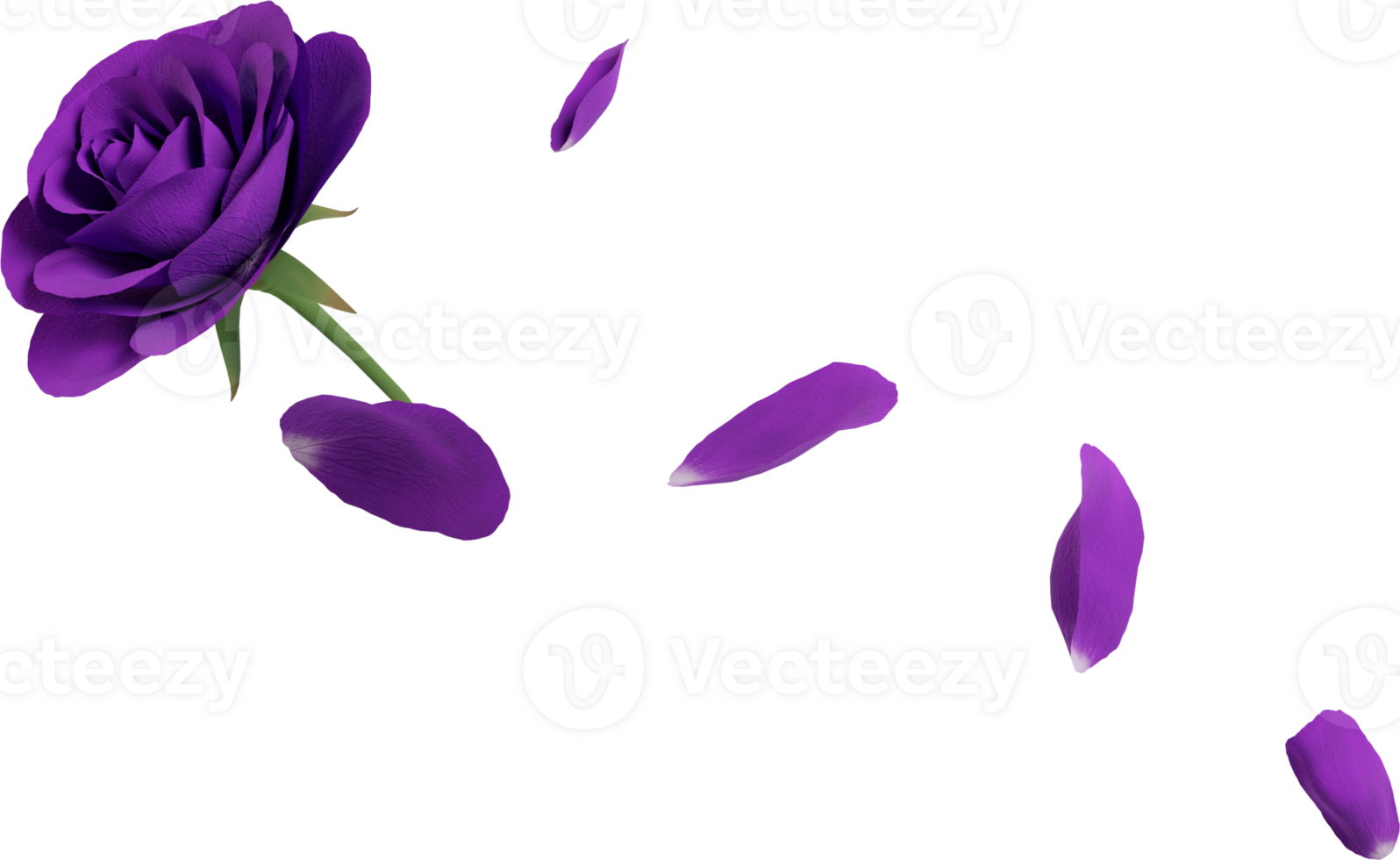 falling violet rose petals png