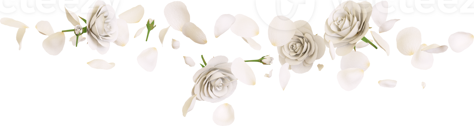 Falling white rose petals png