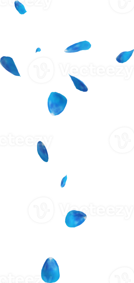 blue rose petals png
