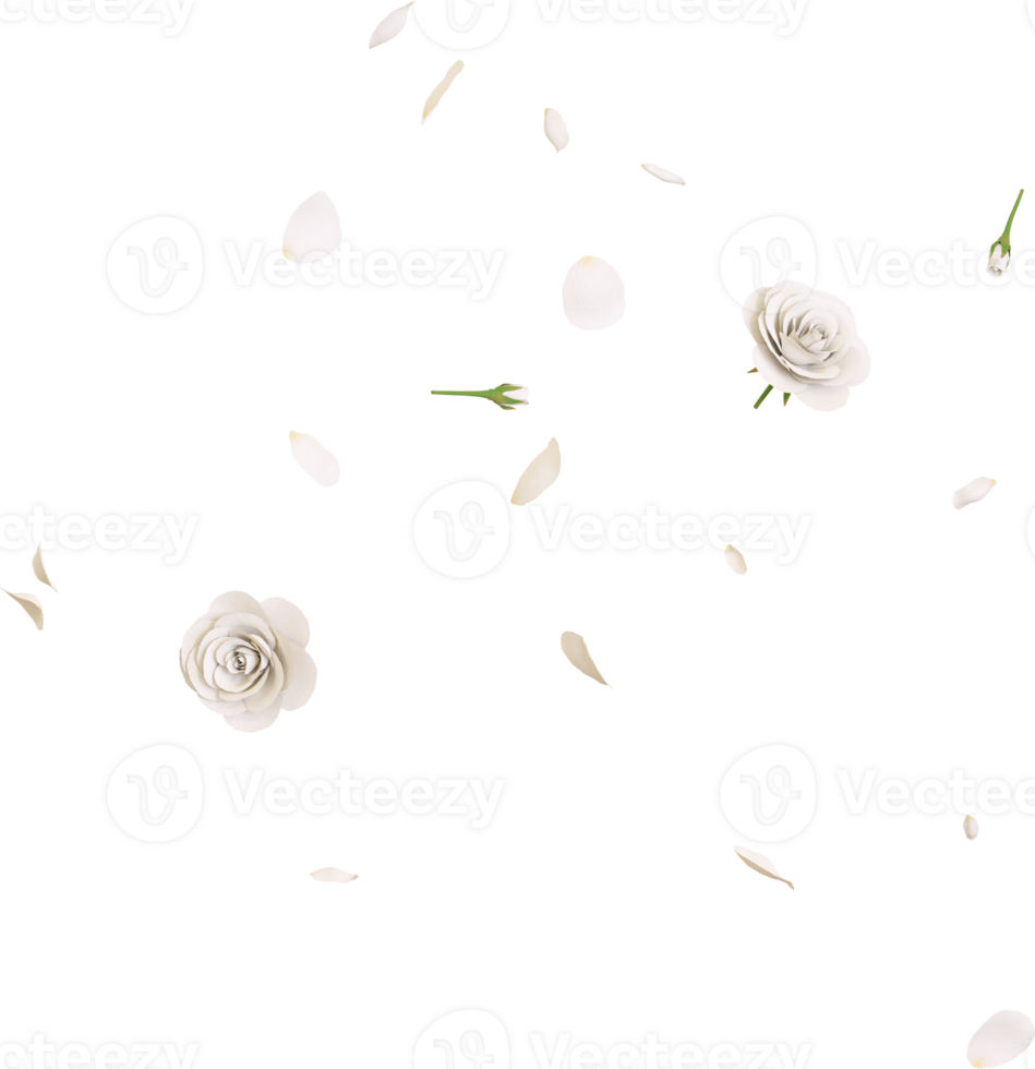 Falling white rose petals png