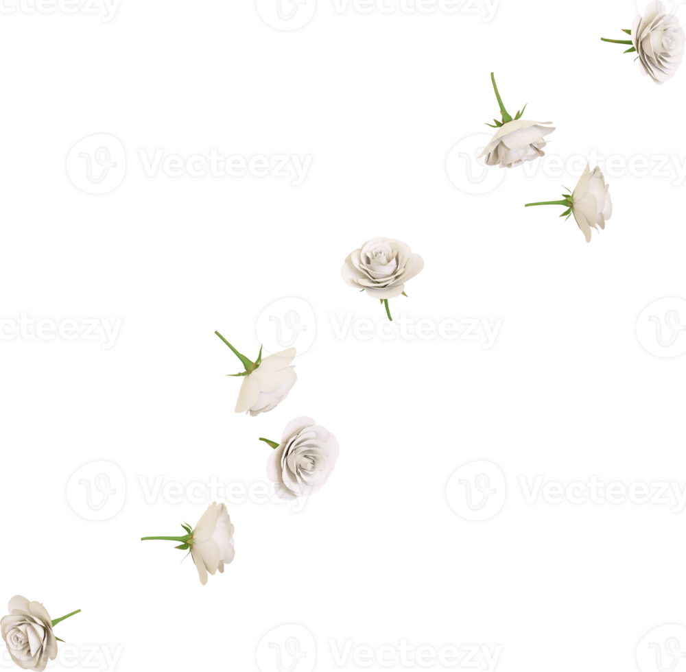falling rose flowers png