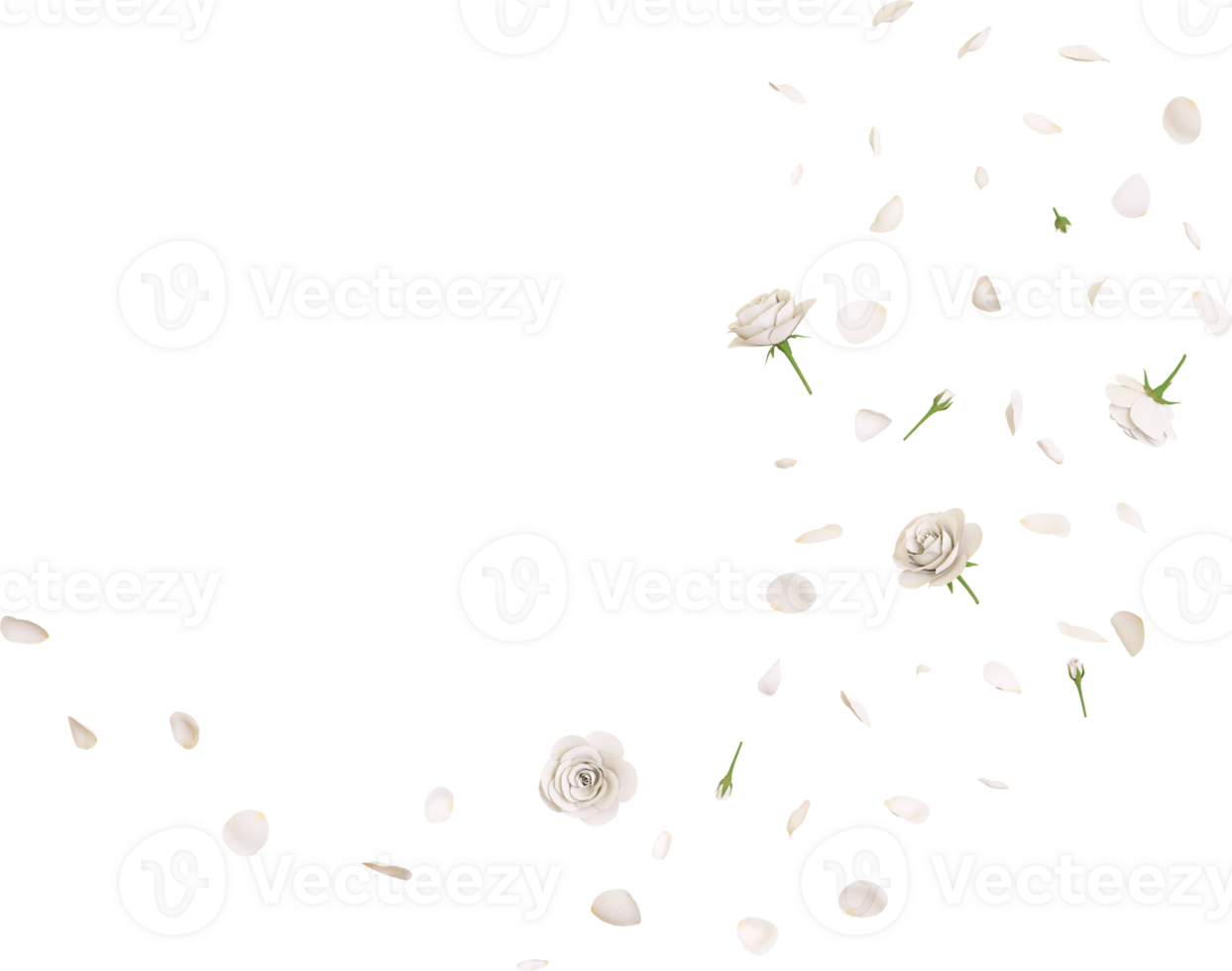 Falling white rose petals png