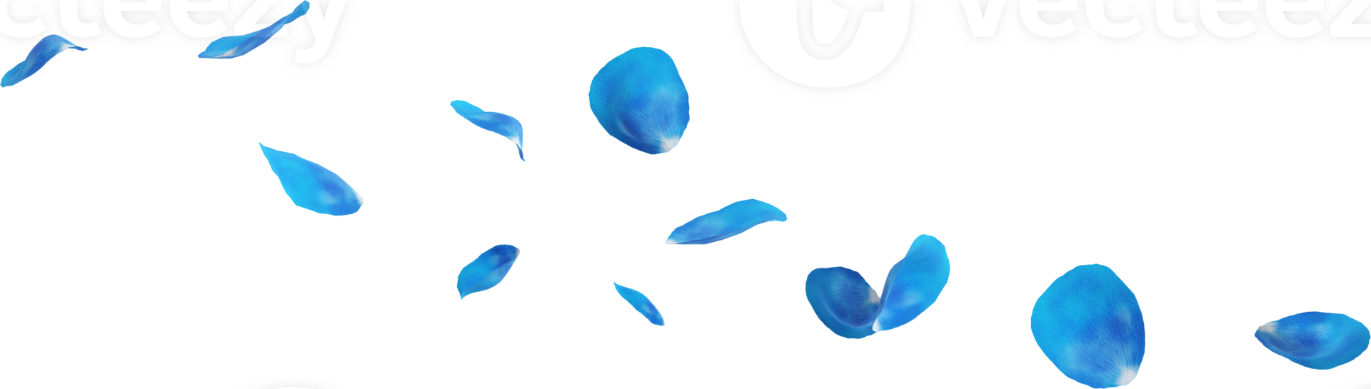 chute bleu Rose pétales png