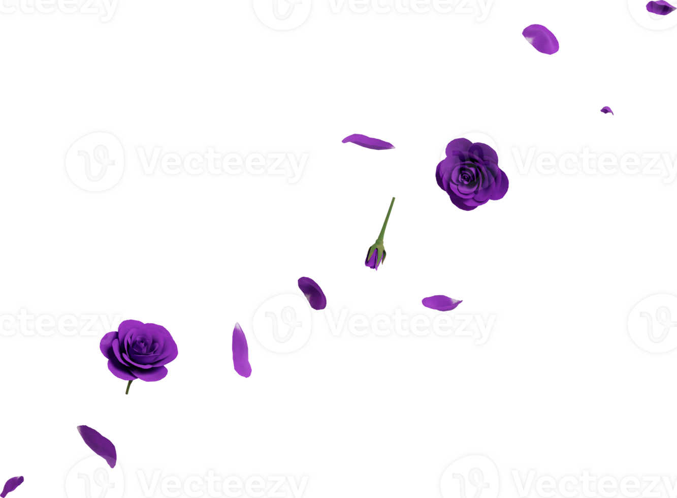 violet flower petals png