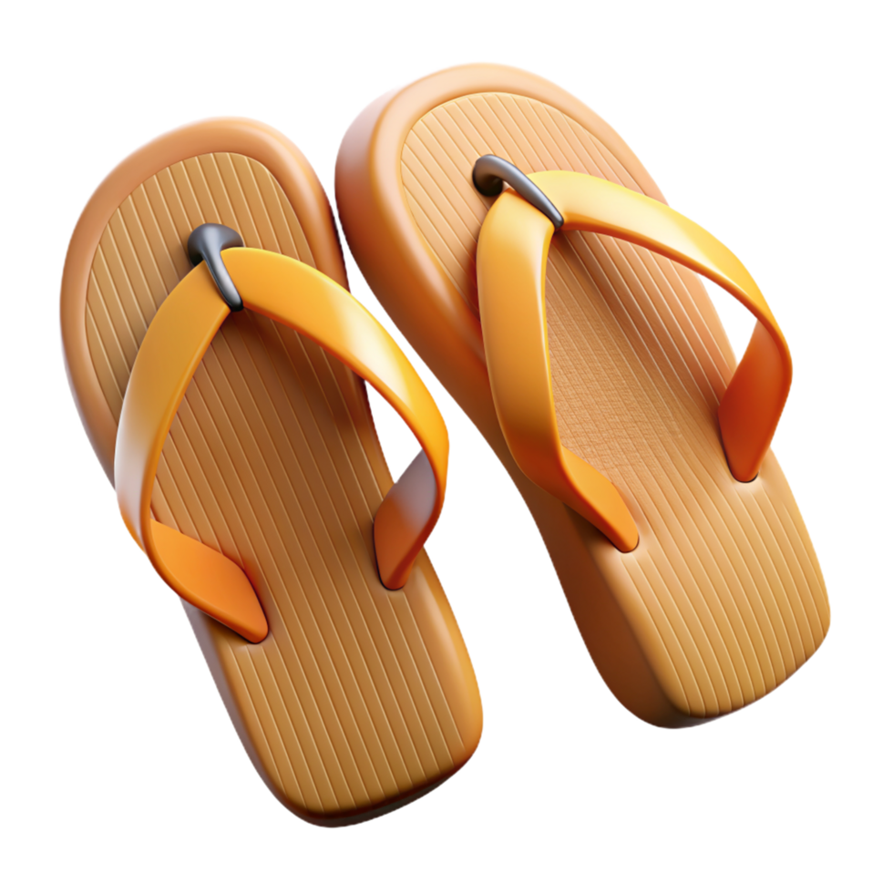 Straw Flip Flops 3d Graphic png