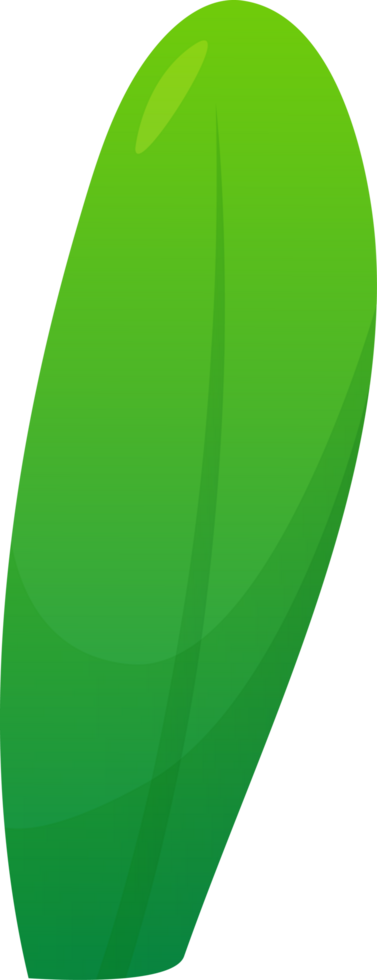 green plant grass png