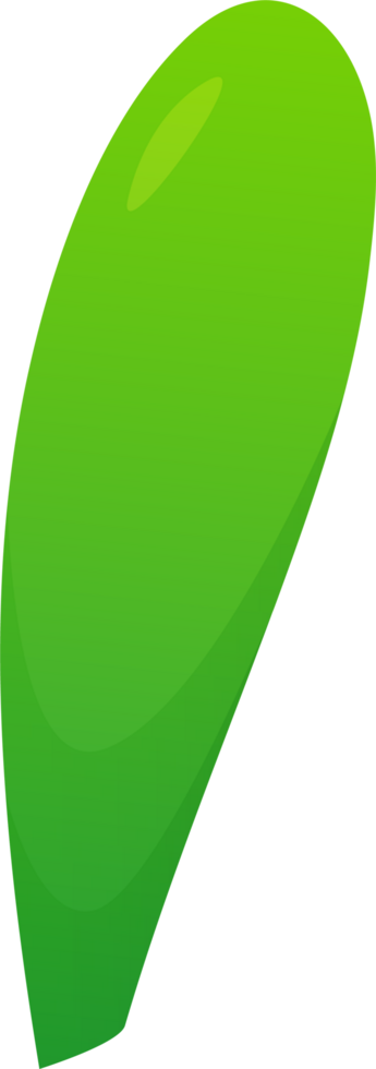 green plant grass png