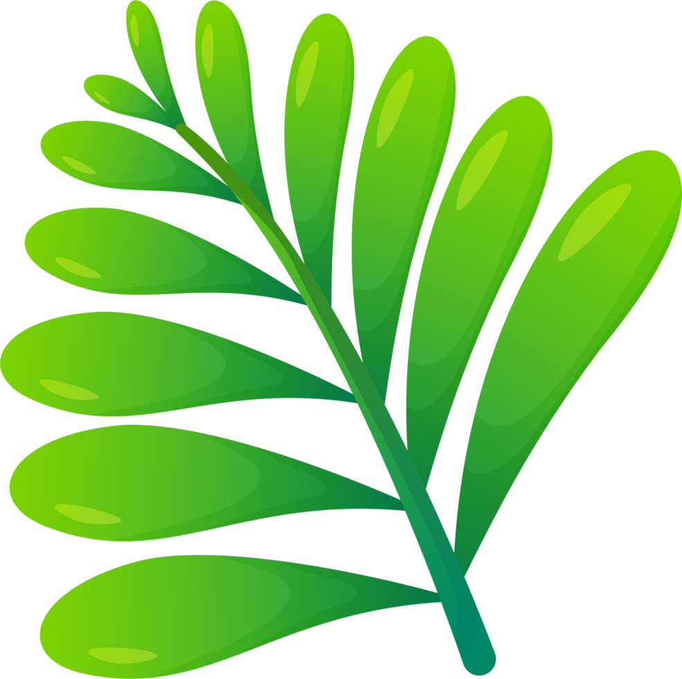 cute plants and flower png