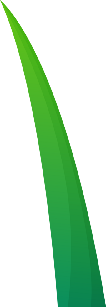 green plant grass png