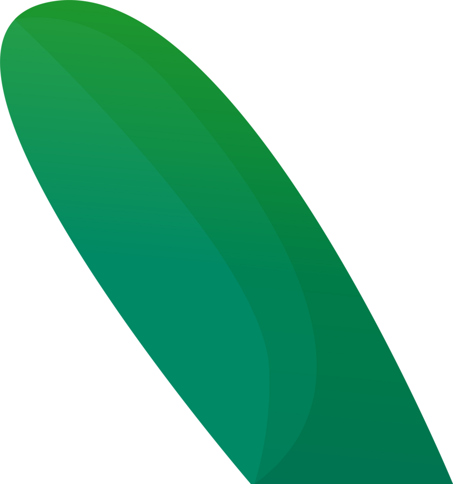 green plant grass png