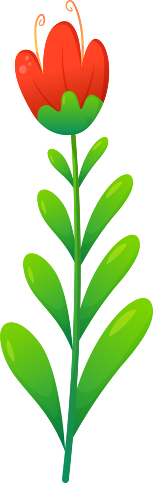 cute plants and flower png
