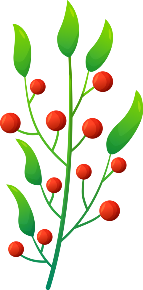 cute plants and flower png