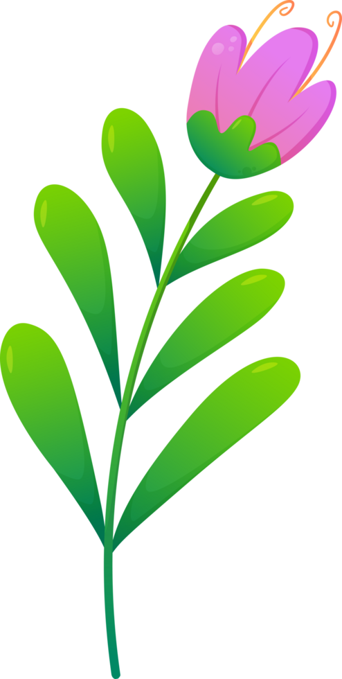 cute plants and flower png