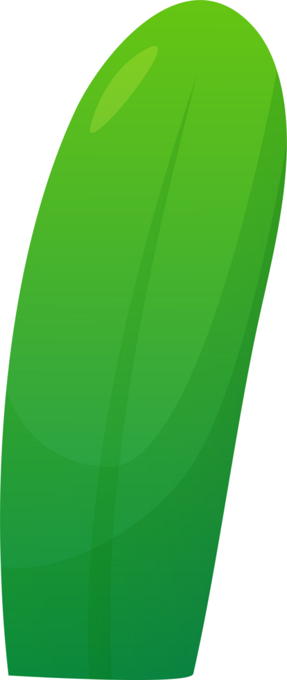 green plant grass png