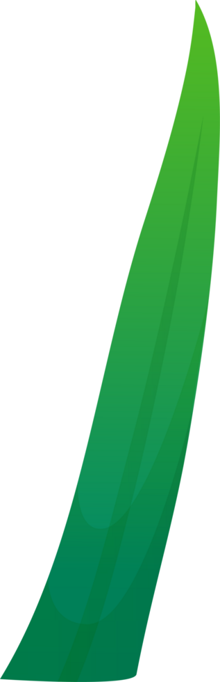 green plant grass png