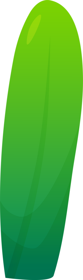 green plant grass png