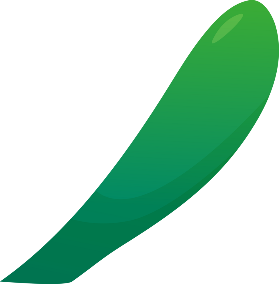 green plant grass png