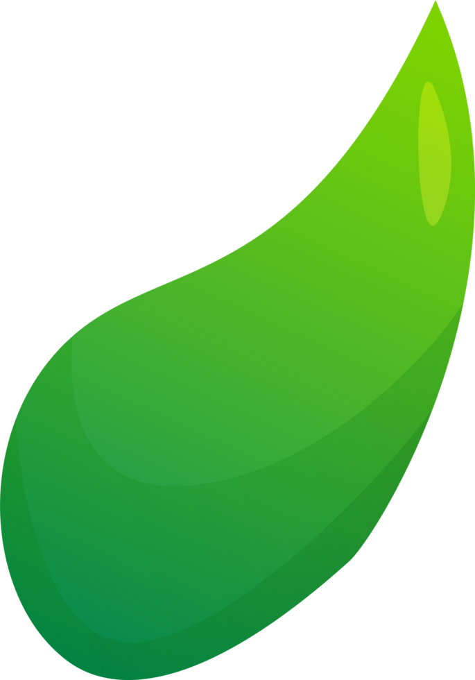 green plant grass png