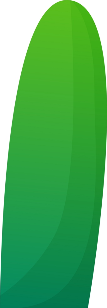 green plant grass png