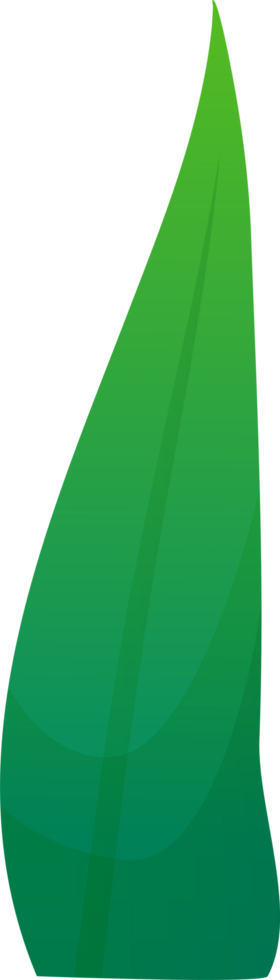 green plant grass png