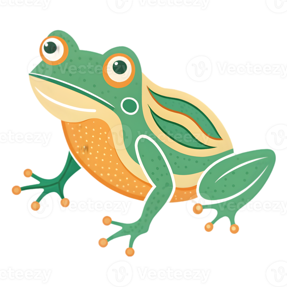 Frog - Isolated on Transparent Background png