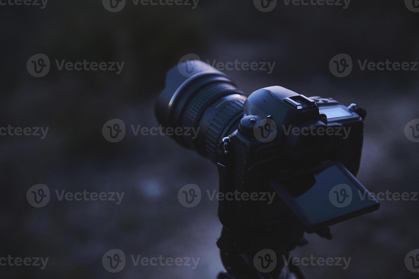 World Photography Day concept. A modern digital semi-mirror camera with a movable touch screen, mounted on a tripod in the nature, ready to take steady shots, pictures, photos or videos.