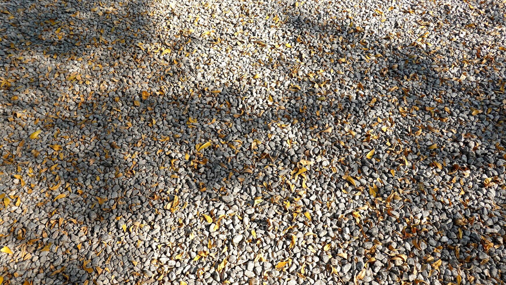 Small pebble background and texture with shadow of trees photo
