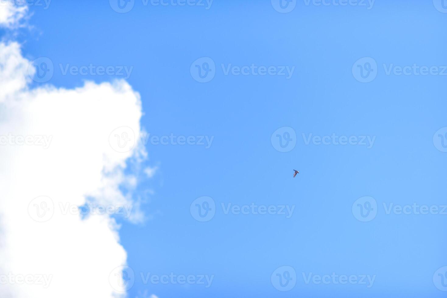 a kite flying in the blue sky photo