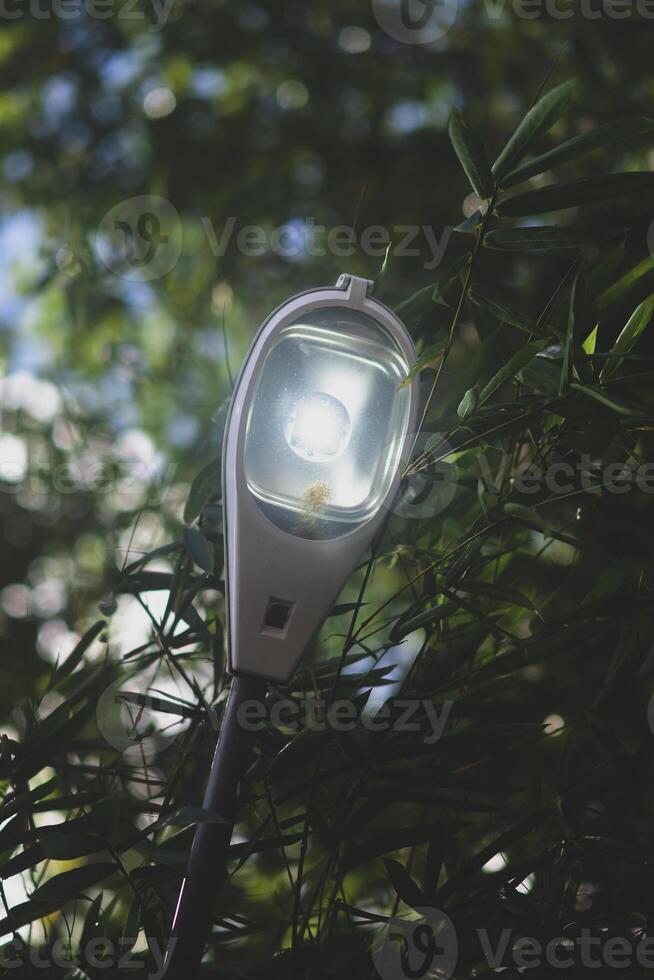 a street light is on a pole in front of a tree photo