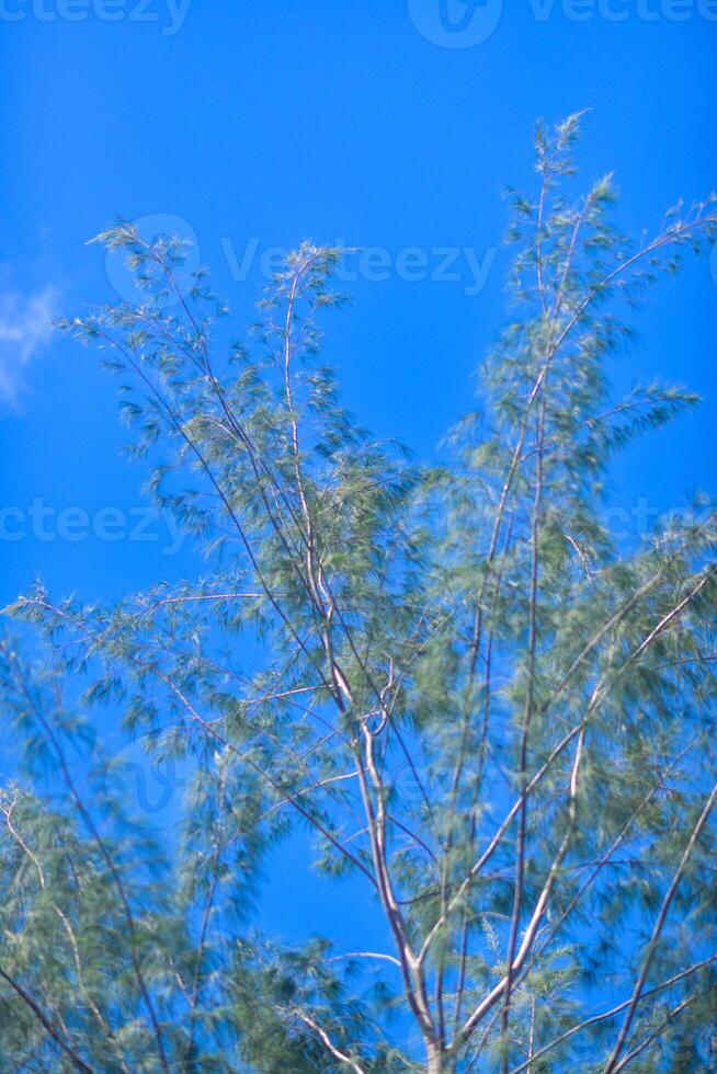 a white cloud is seen in the blue sky photo