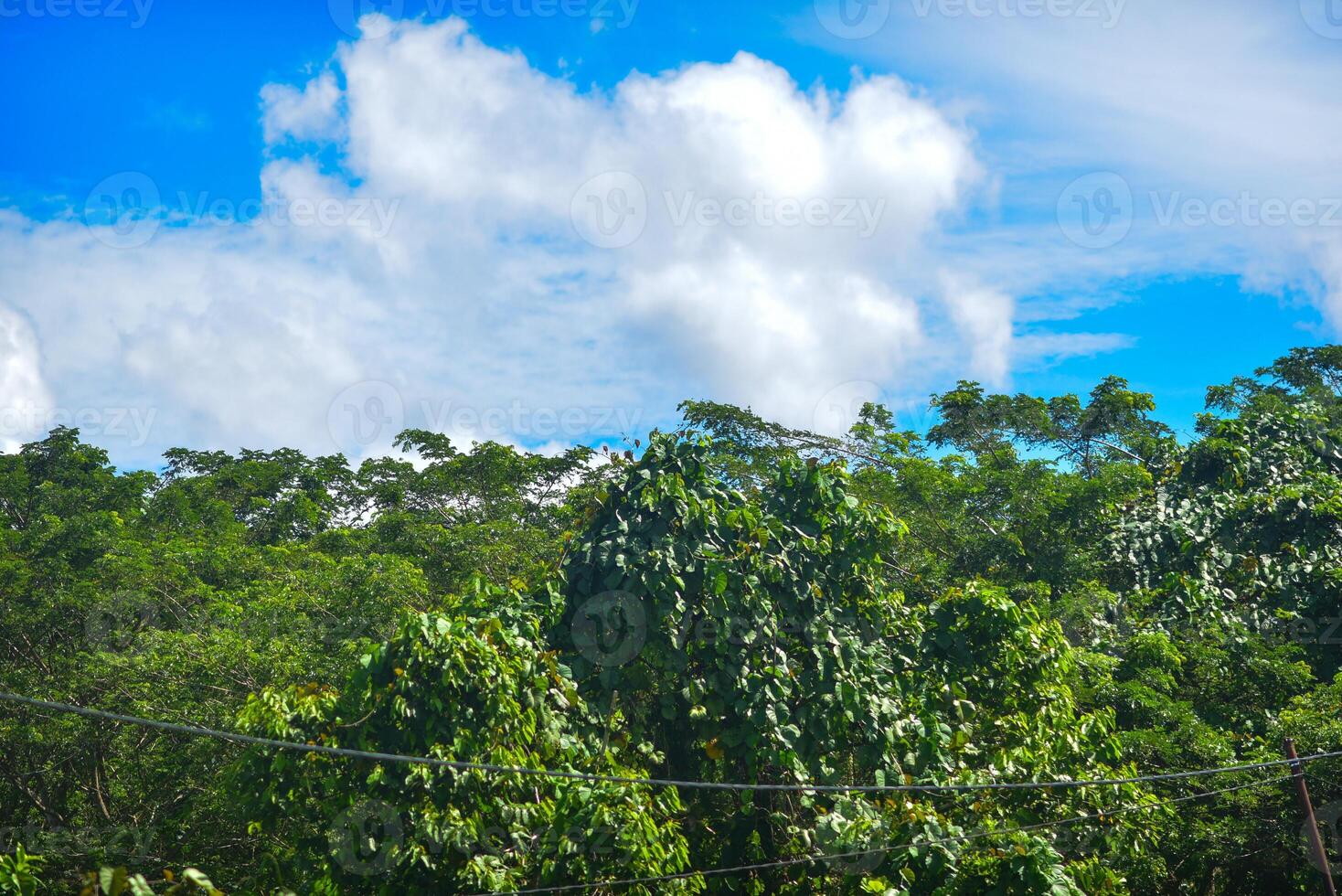 a white cloud is seen in the blue sky photo