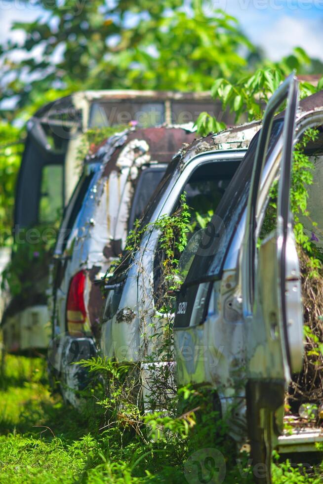 a bunch of cars in a field photo