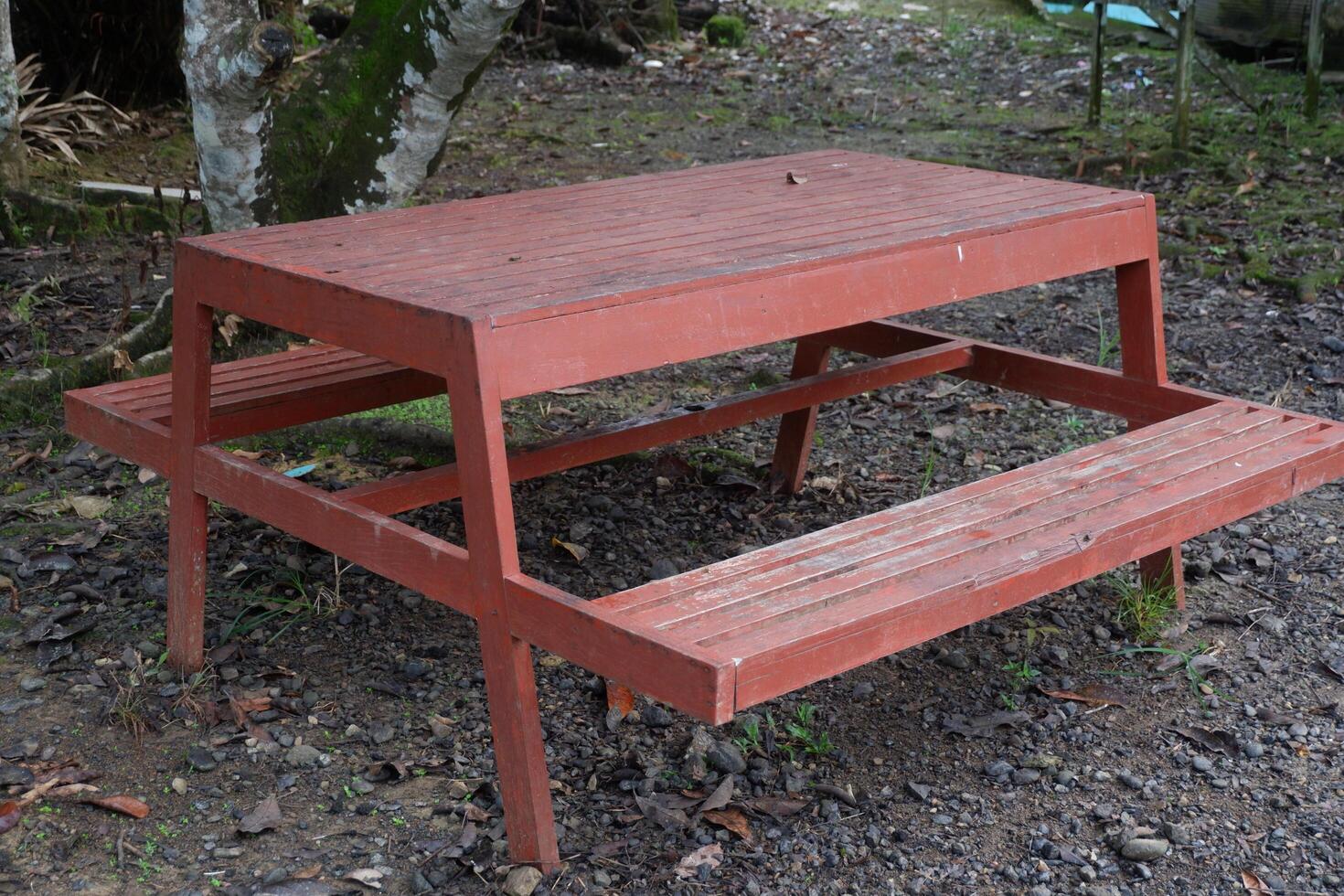 photography of benches made of wood for sitting outdoors photo