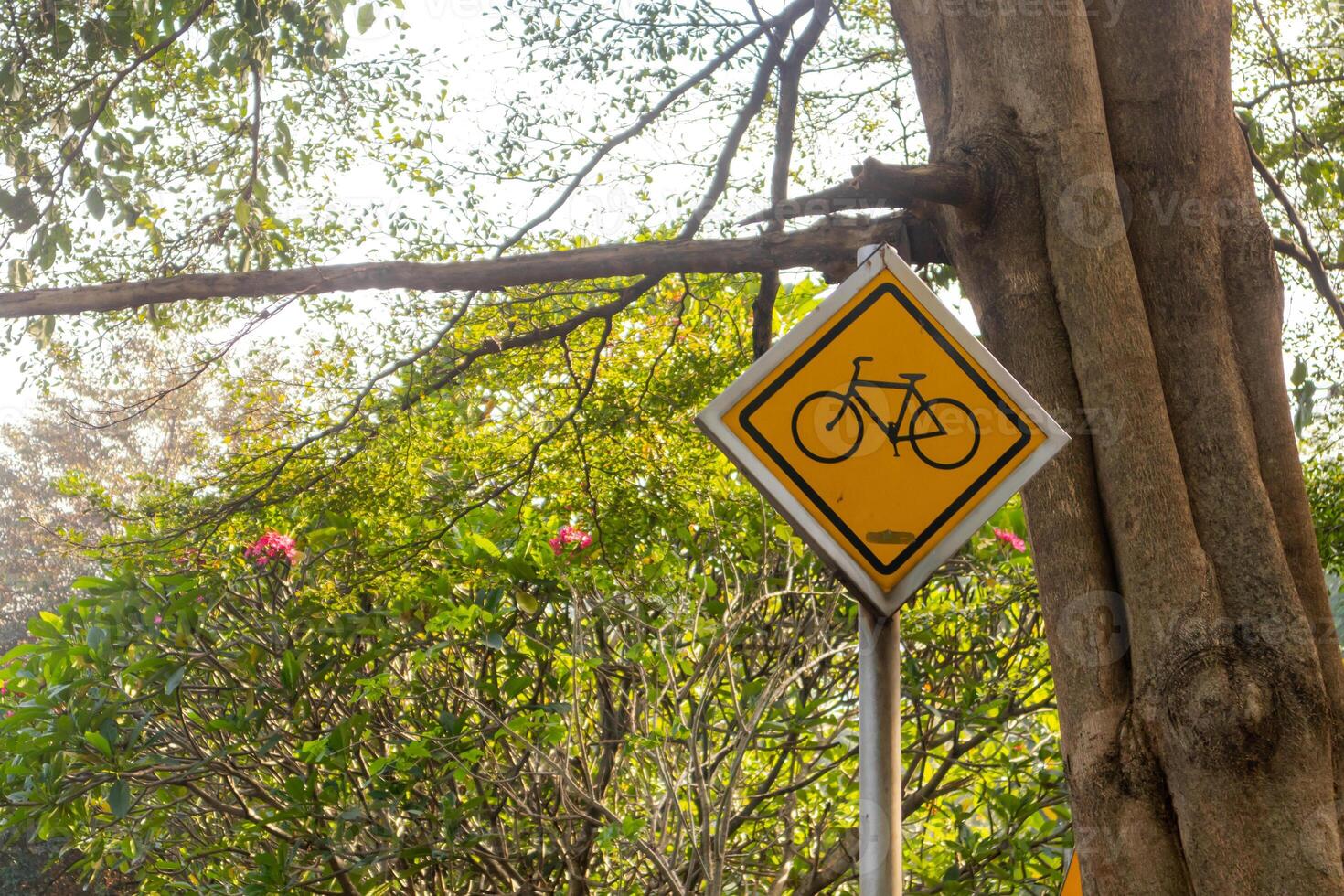 Bicycle signs with shady trees in the background. Bicycle road sign. photo