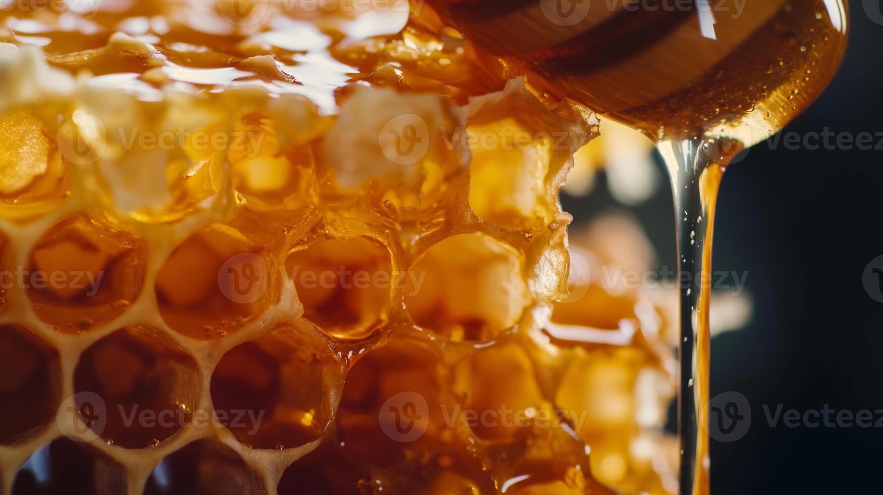 Honey dripping from a honeycombs filled with fresh sweet honey. photo
